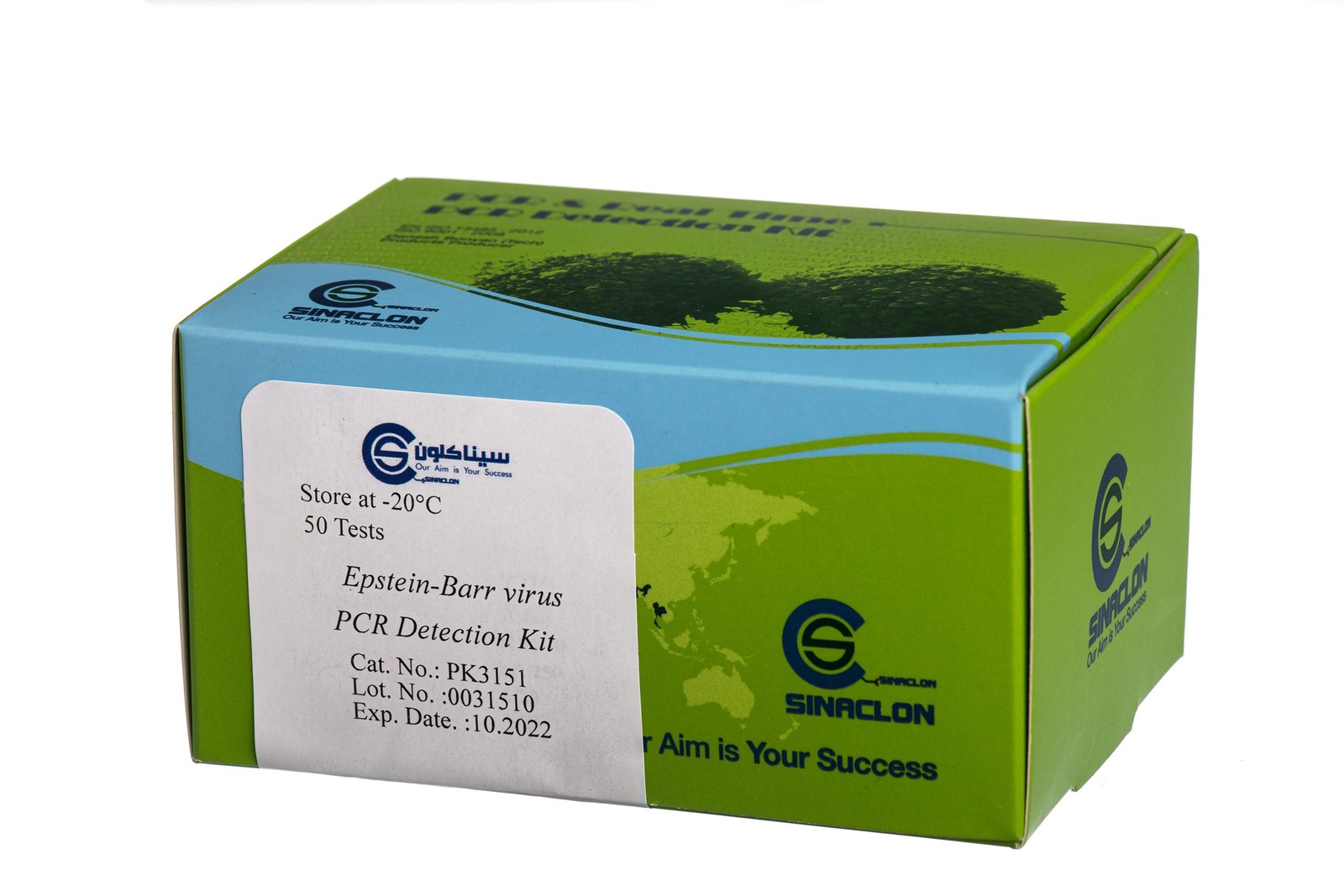Epstein-Barr virus(EBV)PCR Detection Kit-PK3151