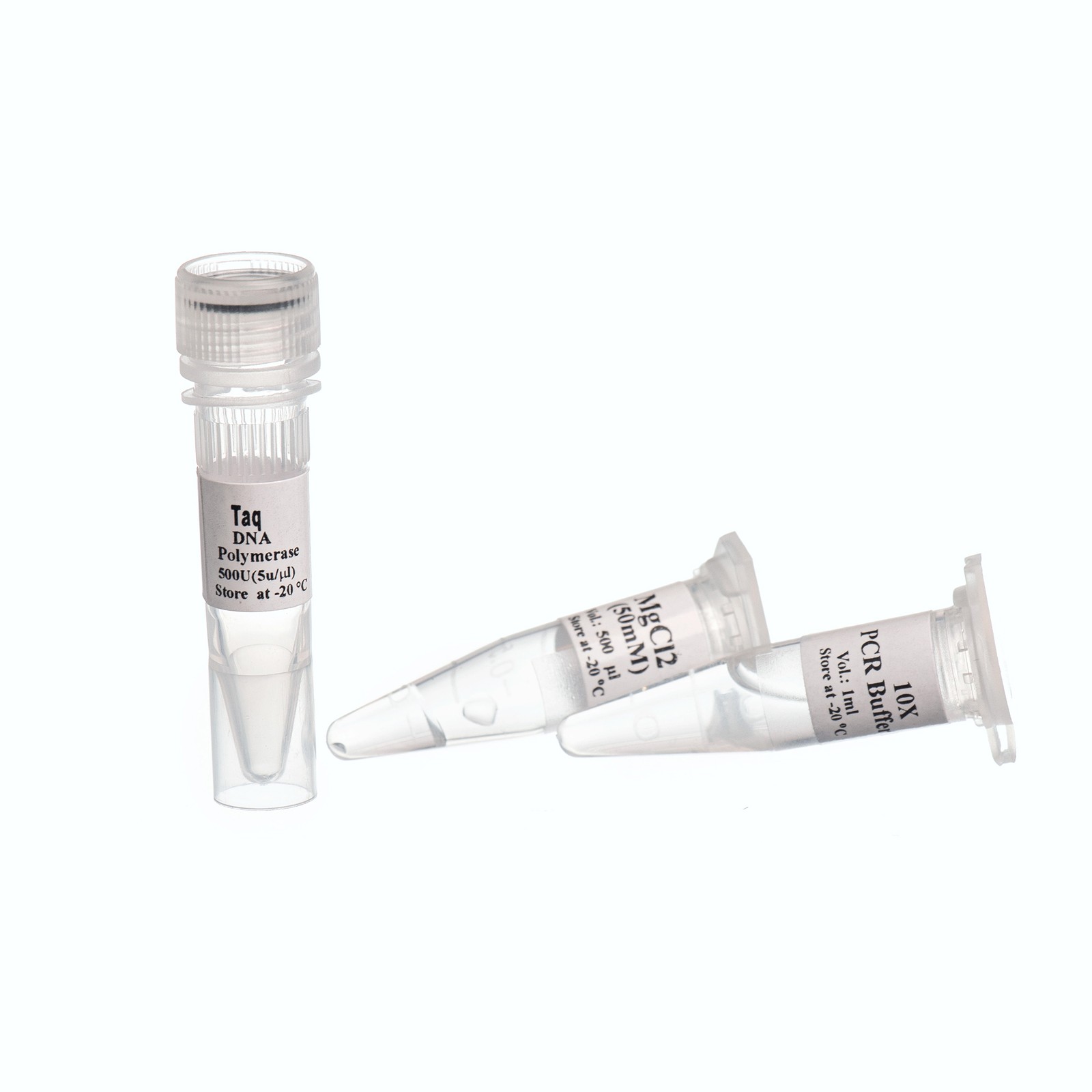 Taq Polymerase,2500u-5 u/µ- آنزیم تک پلیمراز