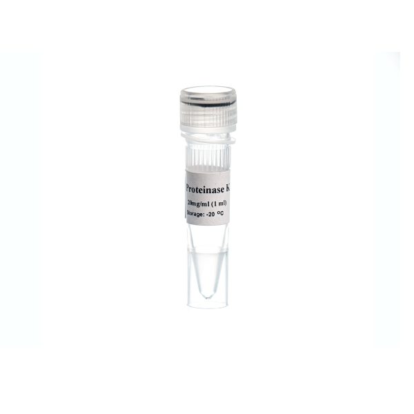 MO5421-Proteinase K (20mg/ml)- پروتئینازکا