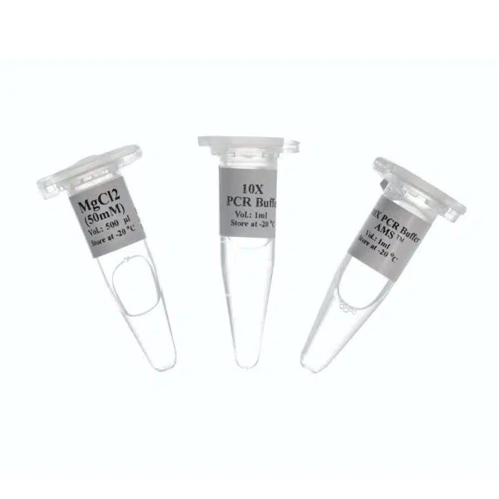 10X PCR AMS Buffer 1 ml