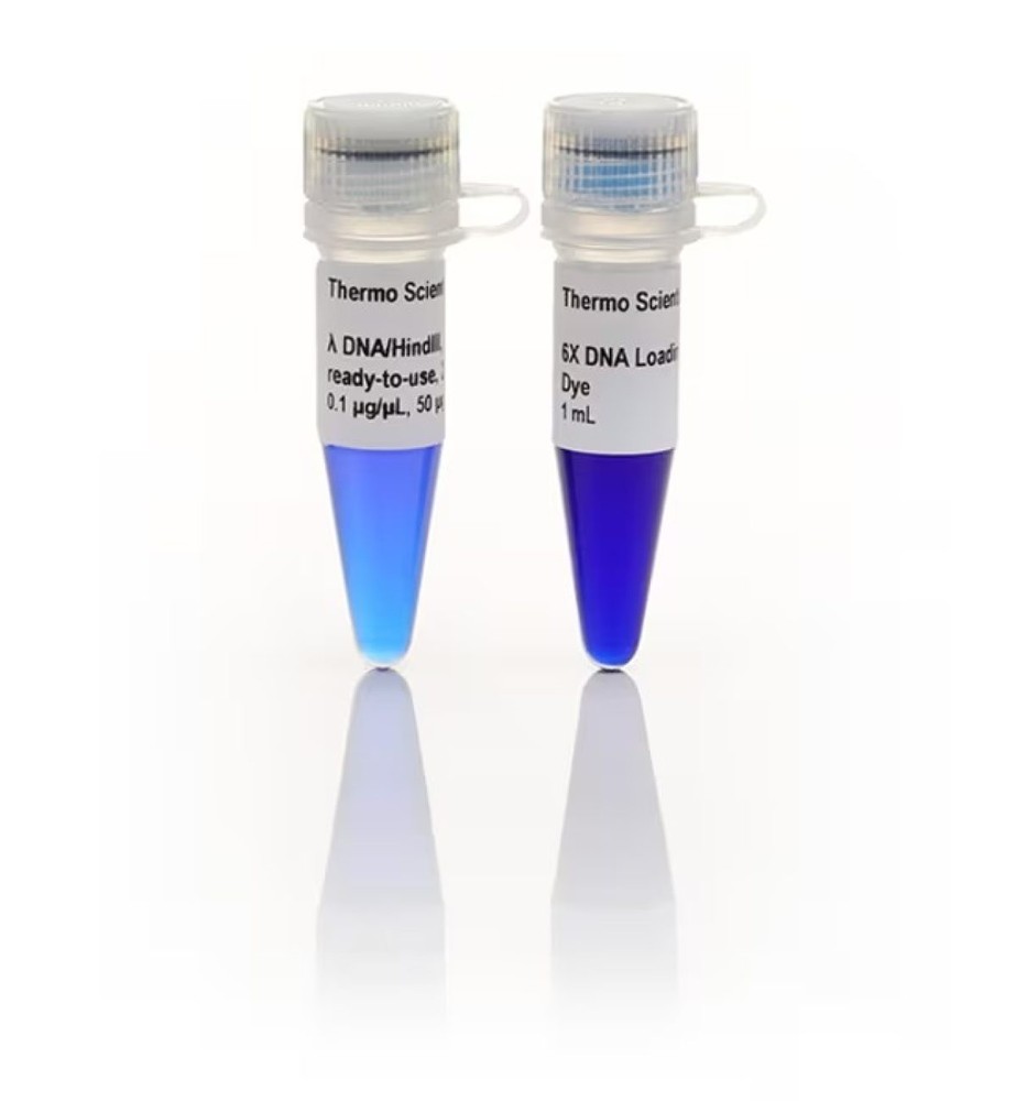 Lambda DNA/HindIII Marker, ready-to-use