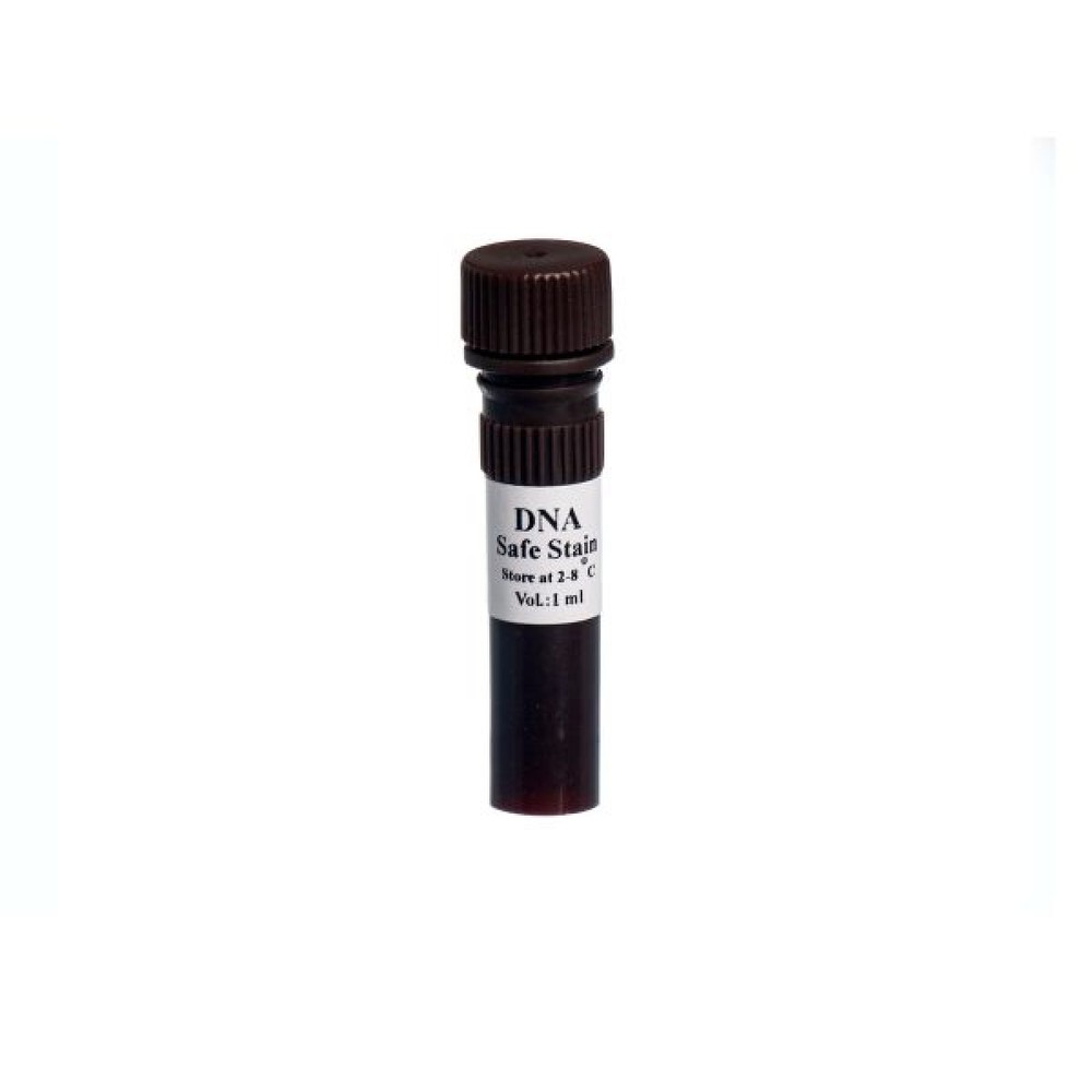 DNA Safe Stain 500ul-EP5083