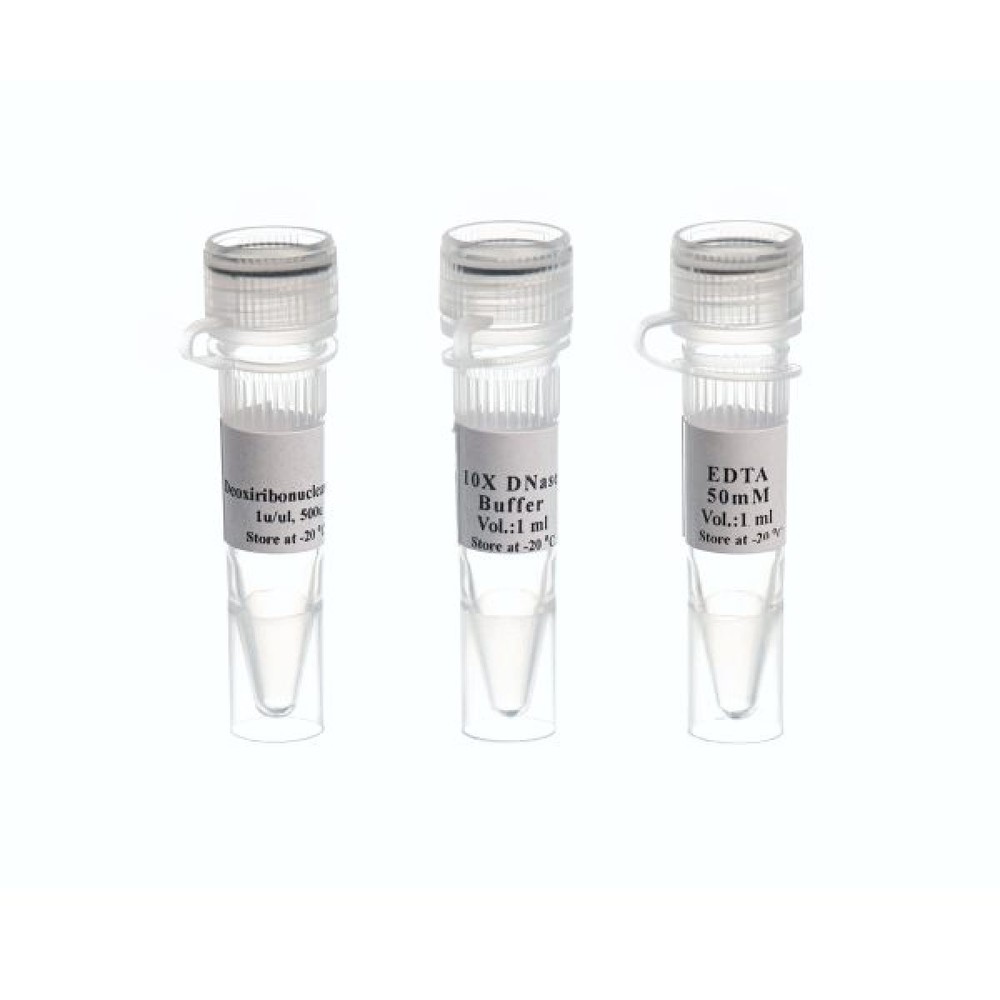 DNase I.Rnase-free500U. 5u/µl-MO5402