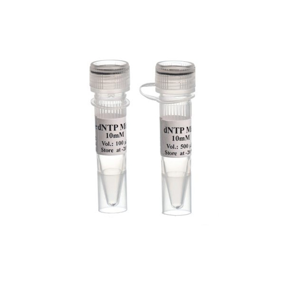 dNTP Mix - 500 µl-mm2082