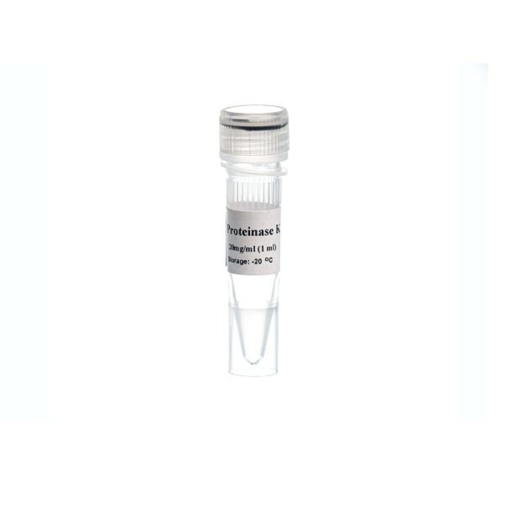 MO5421-Proteinase K (20mg/ml)- پروتئینازکا
