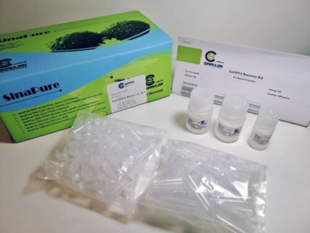 Gel DNA Recovery Kit-EX6151