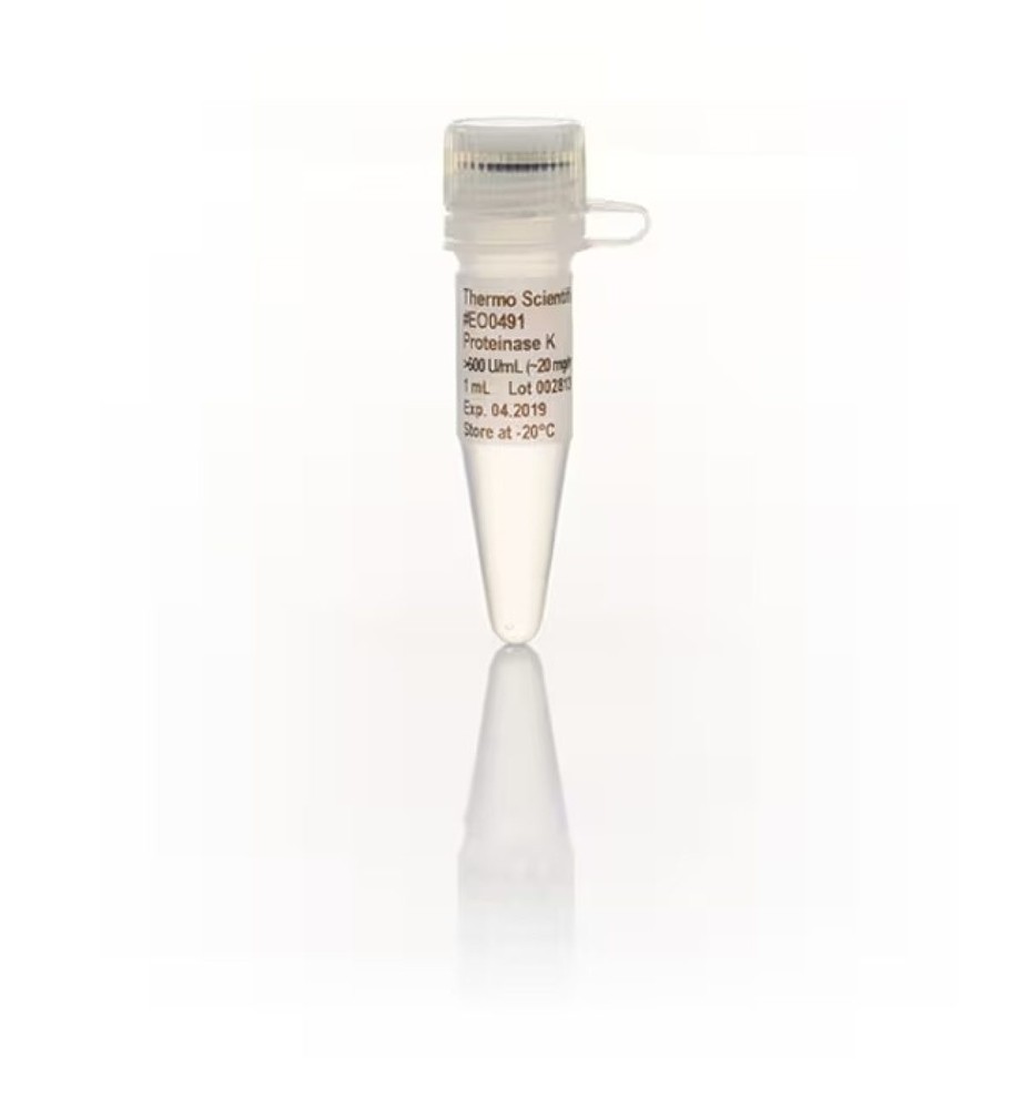 Proteinase K, recombinant, PCR grade
