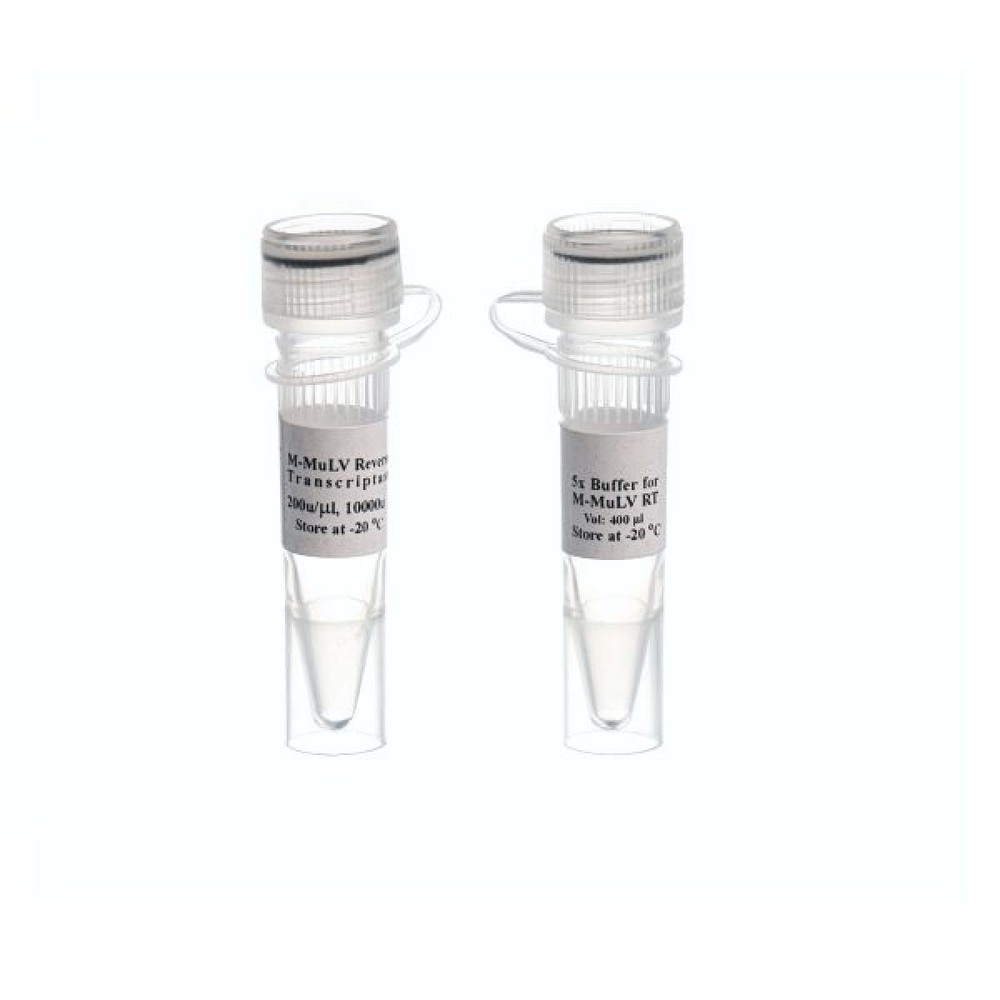 M- MuLV Reverse Transcriptase-10000u-MO5431-آنزیم RT