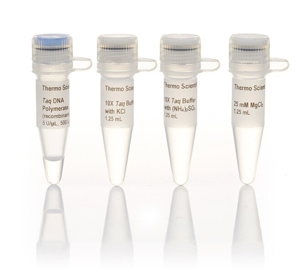 Taq DNA Polymerase, recombinant (5 U/µL)