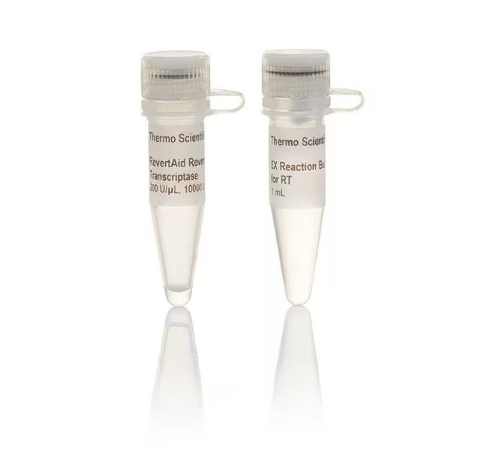 RevertAid Reverse Transcriptase (200 U/µL)