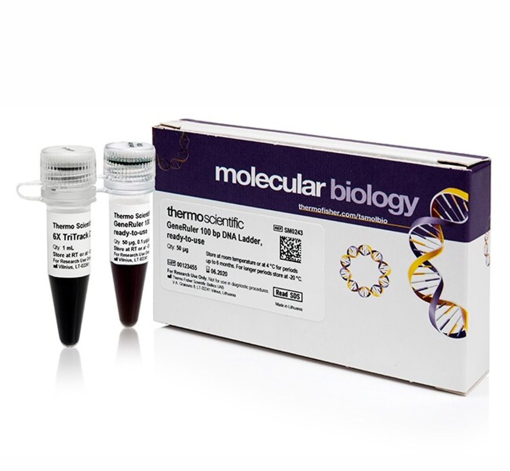 GeneRuler 100 bp DNA Ladder, ready-to-use