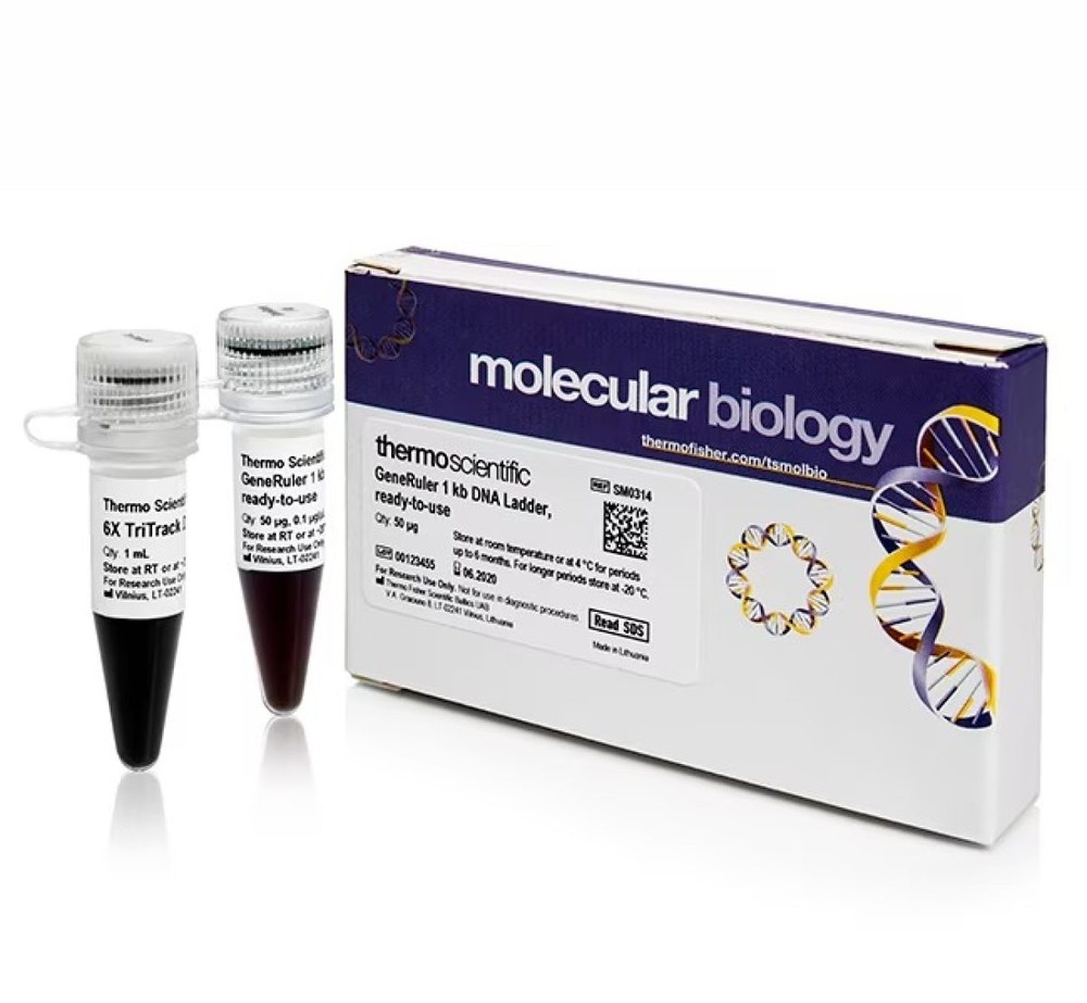 GeneRuler 1 kb DNA Ladder - ready-to-use