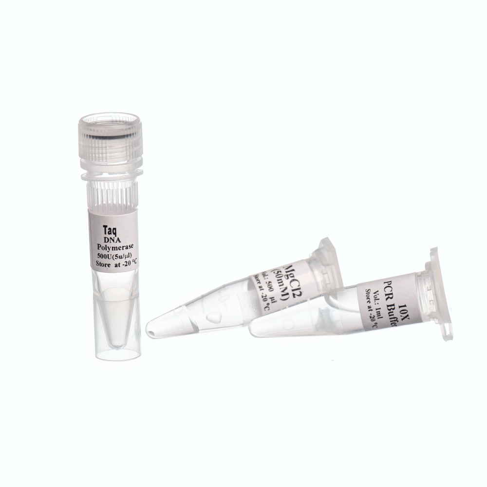 Taq Polymerase,2500u-5 u/µ- آنزیم تک پلیمراز