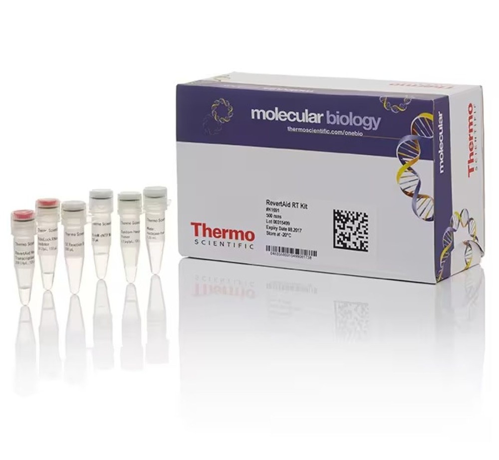 RevertAid RT Reverse Transcription Kit