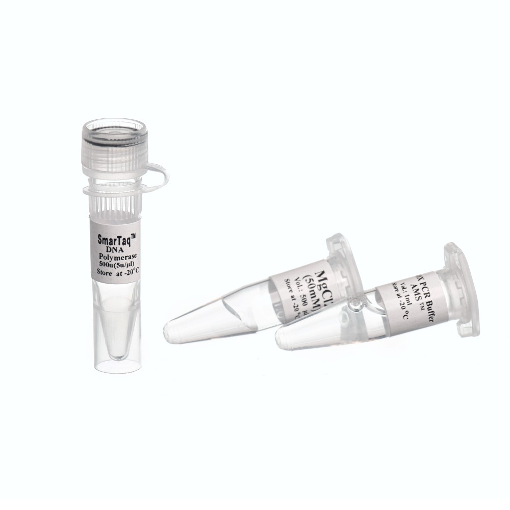 SmarTaq DNA Polymerase ,500u-5 u/µl