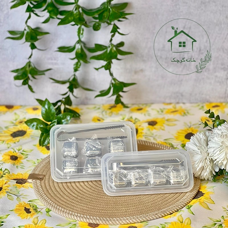پک یخ استیل و انبر
