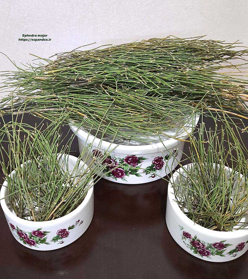 گیاه کمیاب هوم (افدرا ریشبزی یا ارمک) 300 گرمی پاک شده