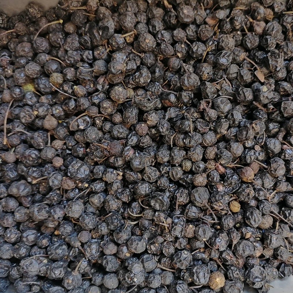 سیاهتوسه اصلی ریز