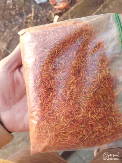 گل گلرنگ شیرازی 30 گرمی