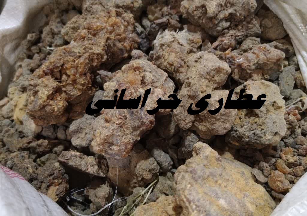 مرمکی درشت سودانی