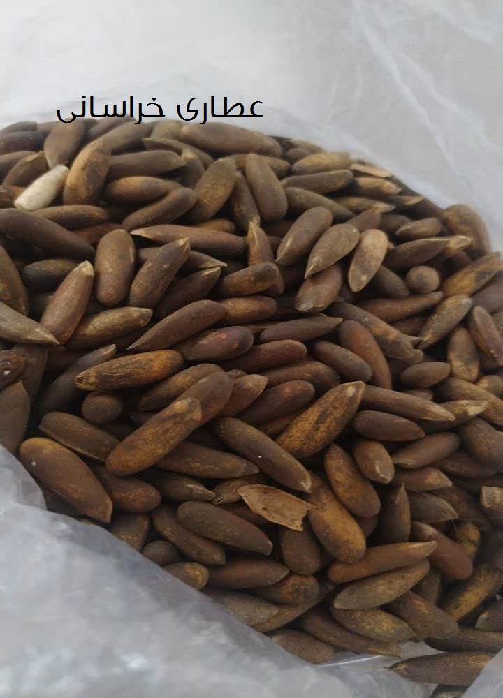 چلغوزه اصلی خوراکی