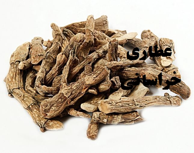 گیاه اگیر ترکی