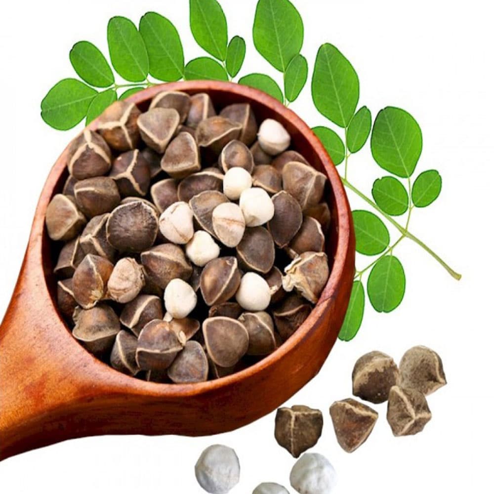 مورینگا بذر کاشتنی و خوراکی 60 گرمی