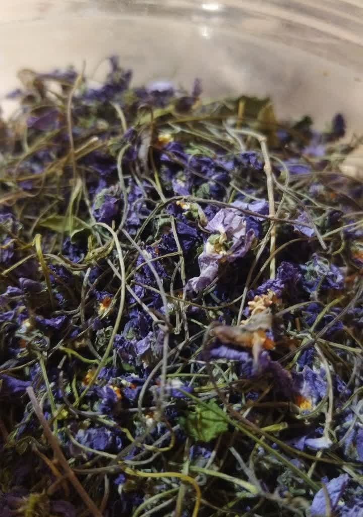 گل بنفشه کردستان 50 گرمی