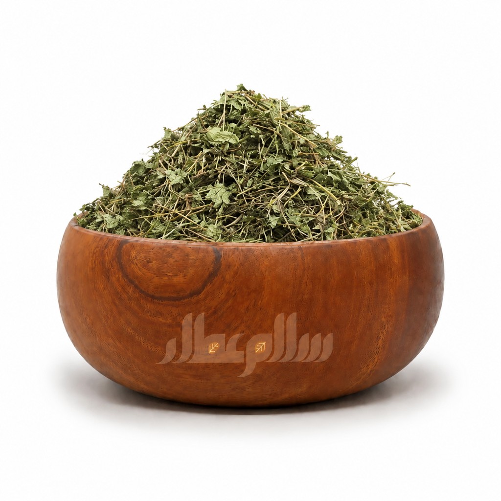 براهمی گیاه آب بشقاب