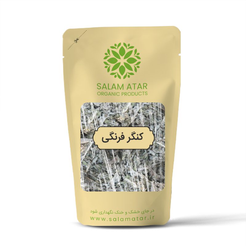 آرتیشو یا کنگر فرنگی