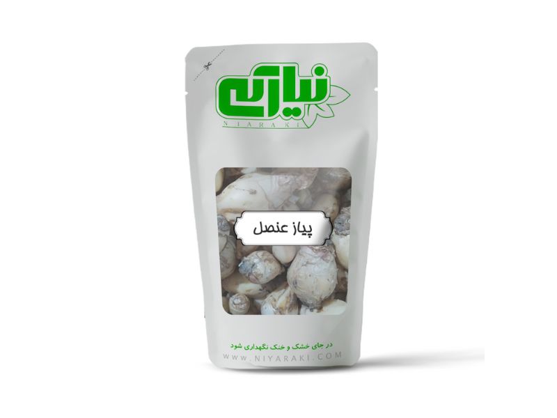 پیاز عنصل – پیاز کوهی