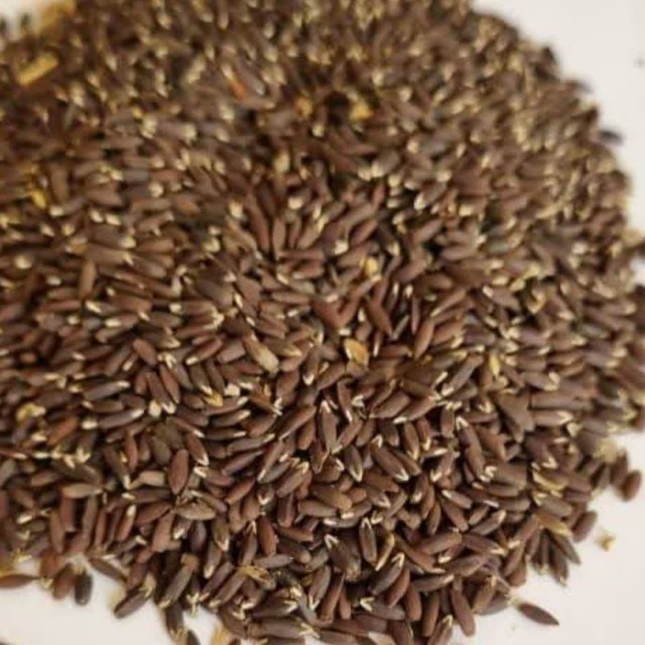 بالنگو عمده