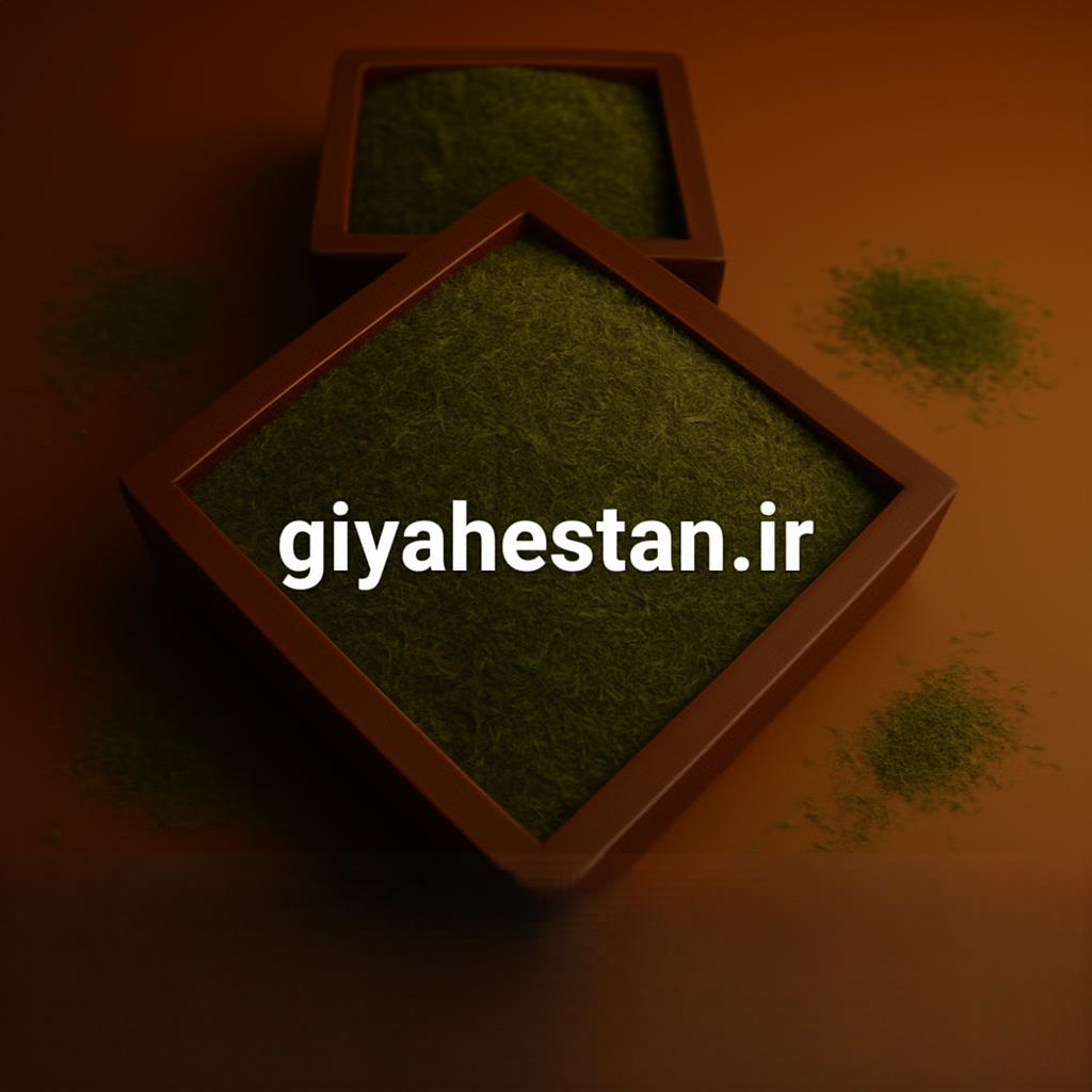 شوید نرم ۵ کیلویی