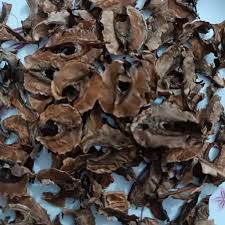 پرک وسط گردو (100گرم )