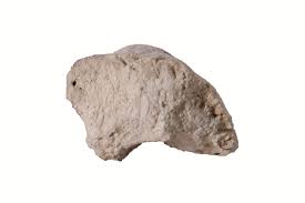 قارچ غاریقون -قاریقون اصلی (100گرمی )