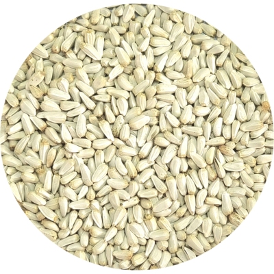 تخم گلرنگ (50 گرمی)