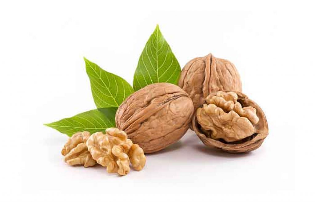 برگ گردو (100گرمی )