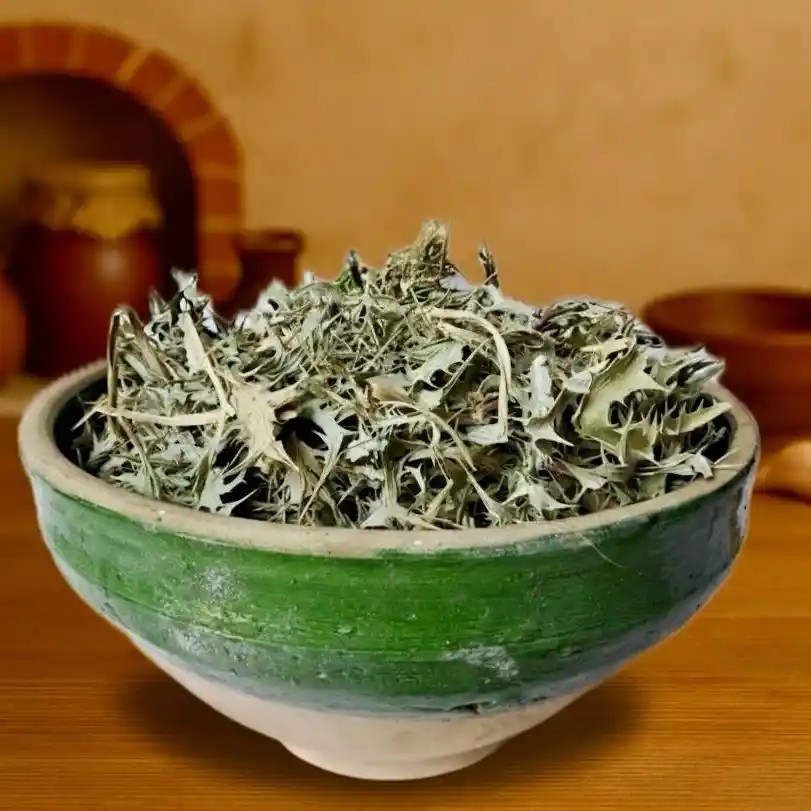 بوقناق گیاه
