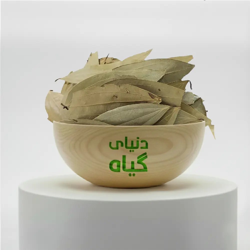 سازج هندی