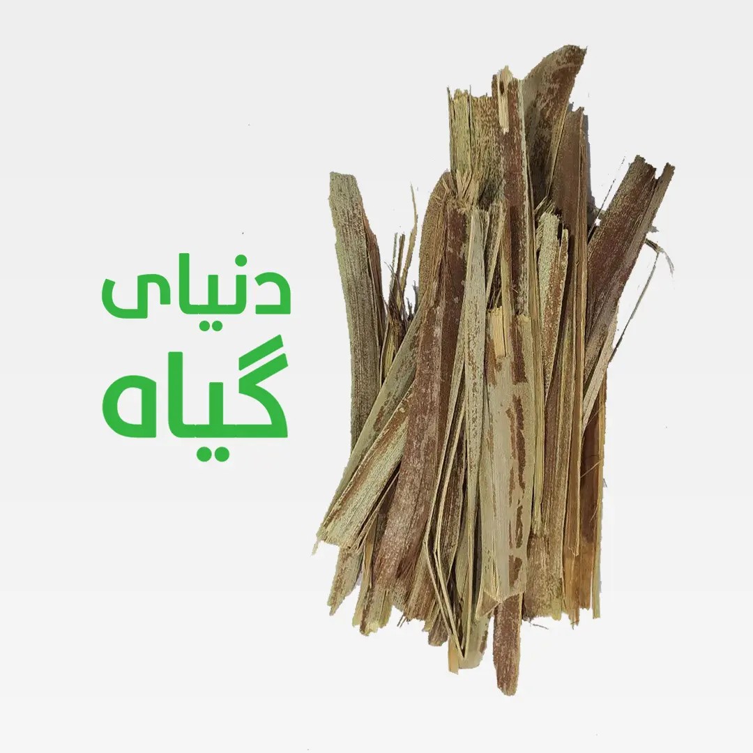 طارونه نخل خرما