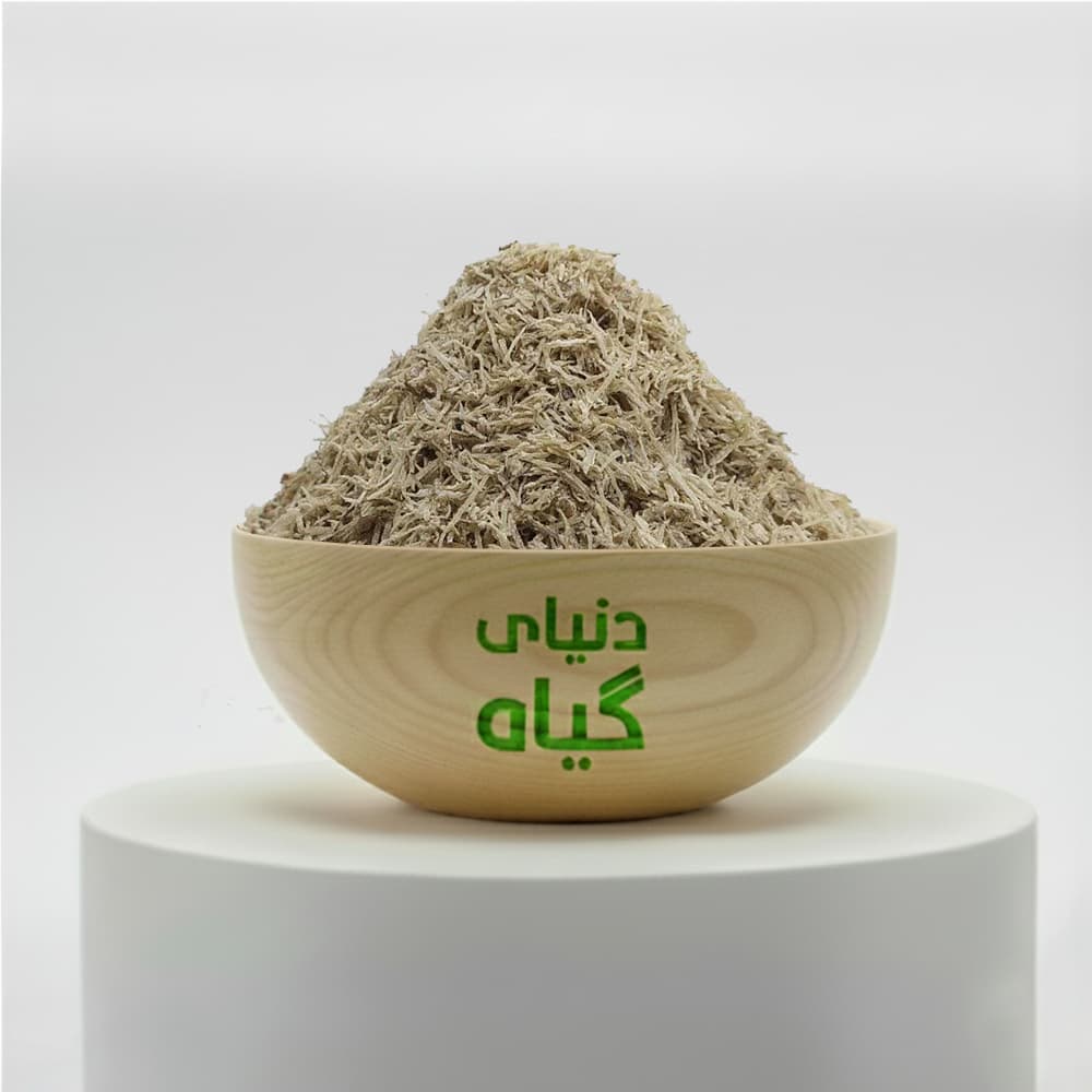 کچوله مدبر (اذاراقی)