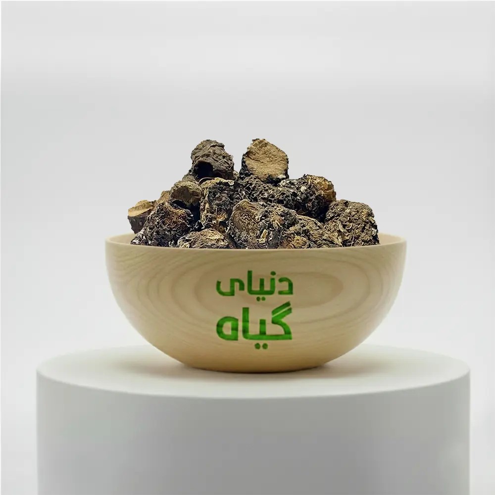 کندش سوری