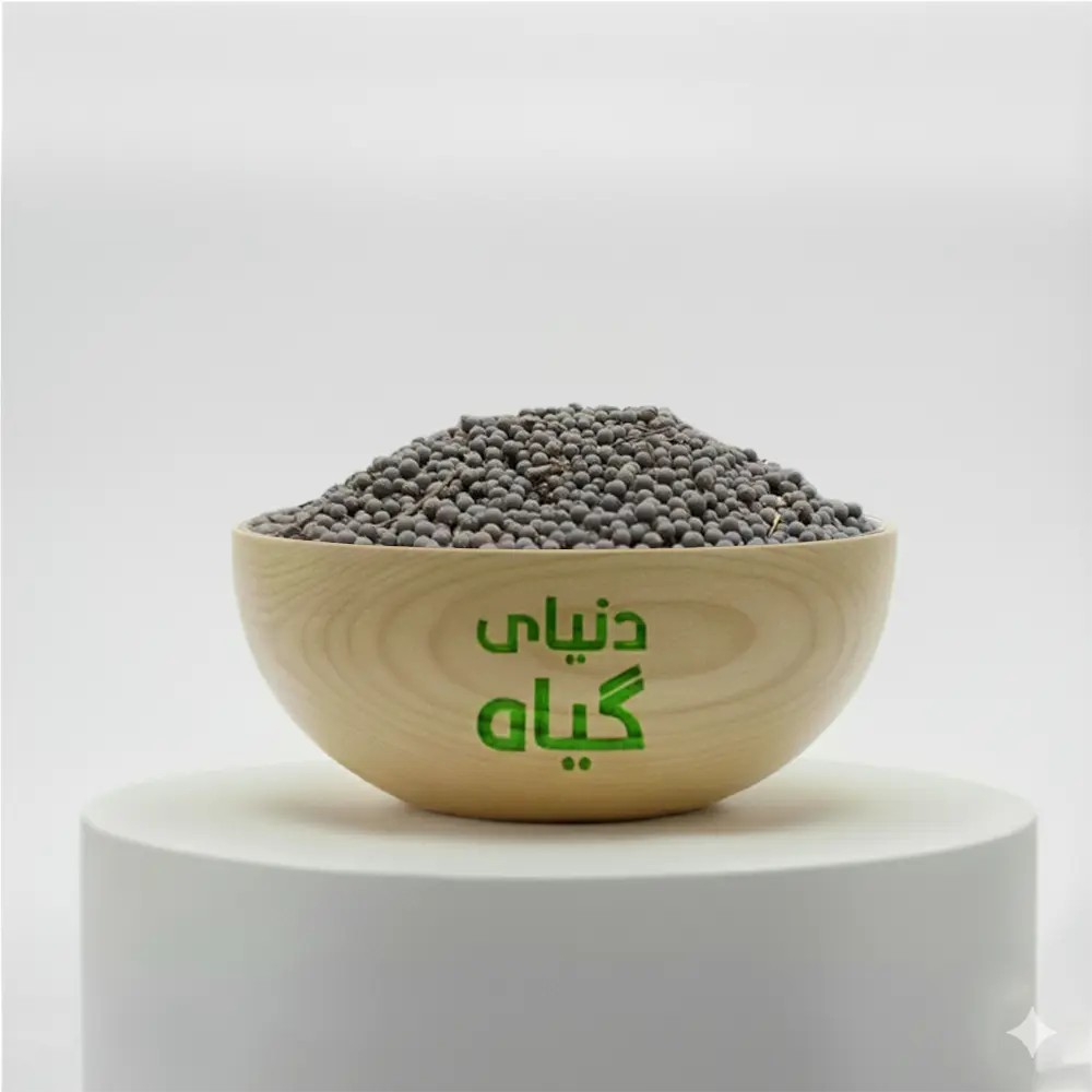برنگ کابلی