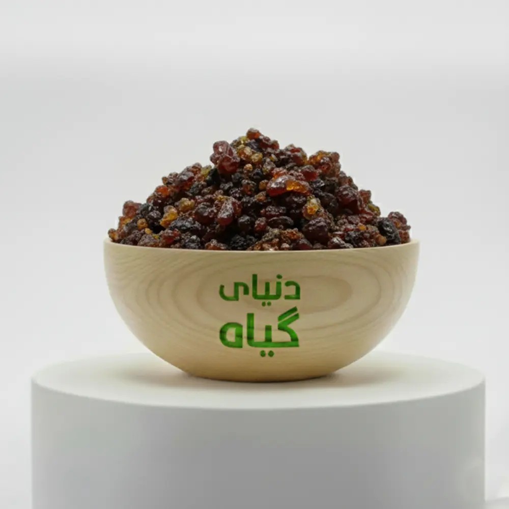 مقل ازرق اصل