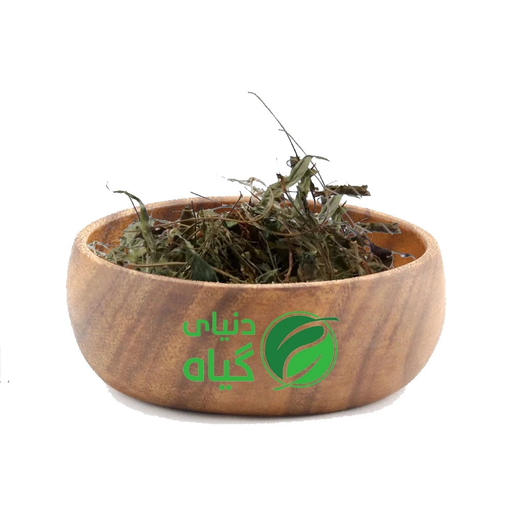 برگ بنفشه (اصل)