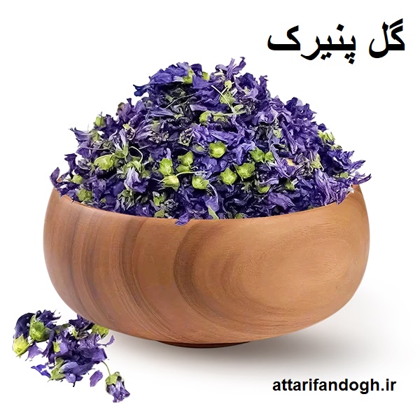 پنیرک (گل خبازی، گل ختمی)