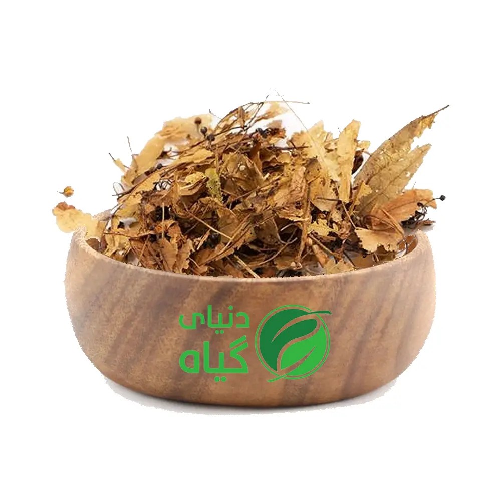 تیول / زیرفون