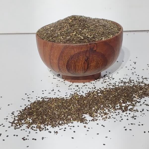 انجره (بذر گزنه)