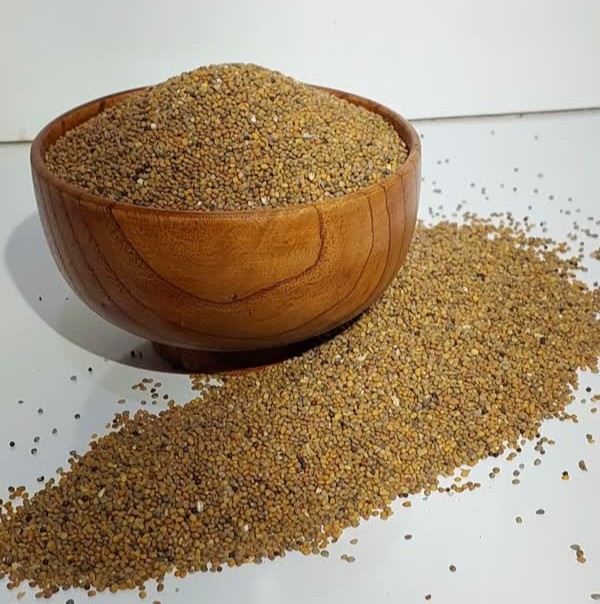 کیکج (منداب)