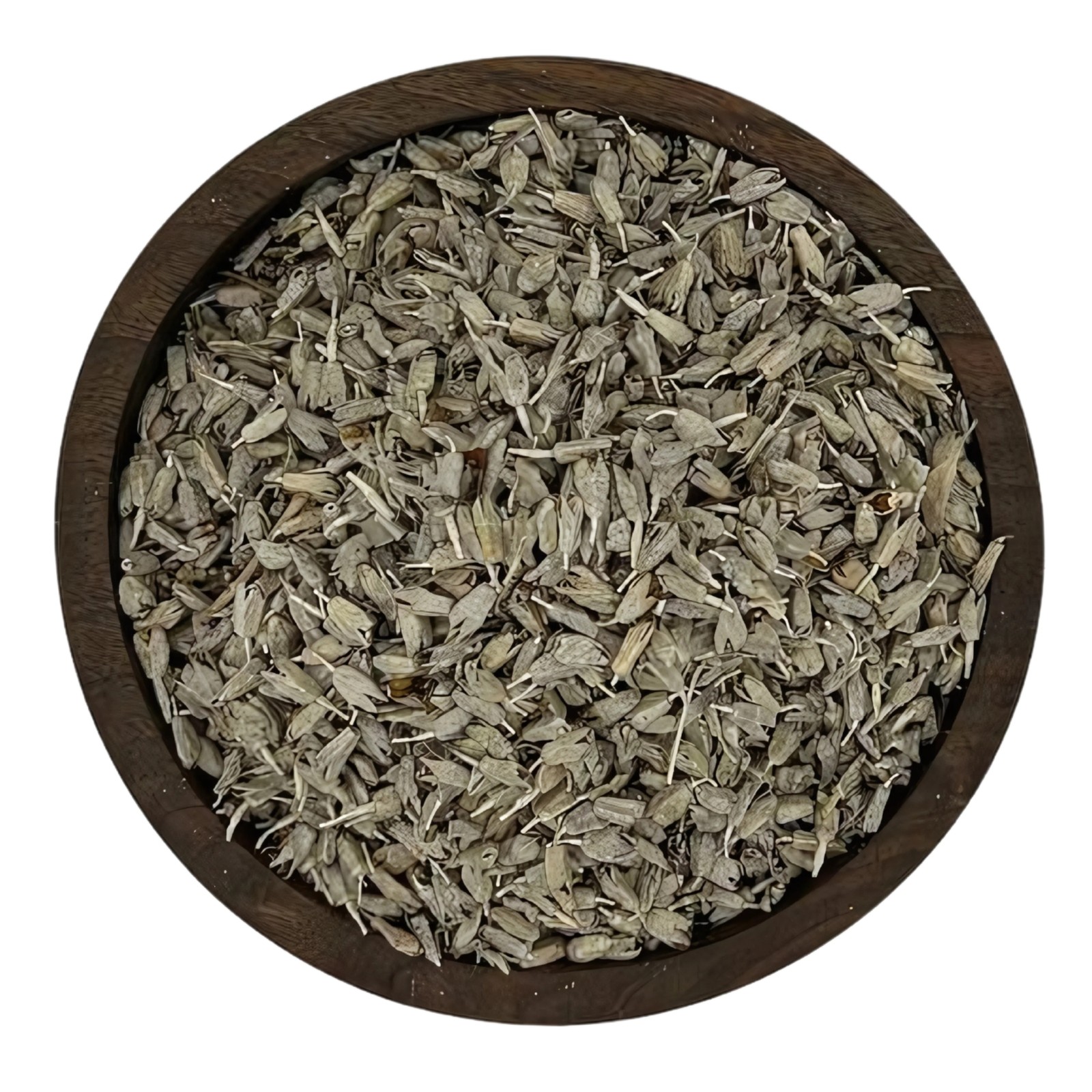 شکوفه سنجد